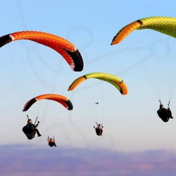 Parapente Niviuk Roller